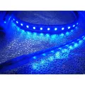 Waterproof AC120V LED Strip Light for Christmas Decoration